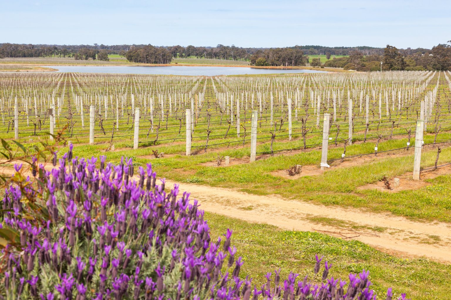 Explore Western Australia in Spring  Quadrant Australia