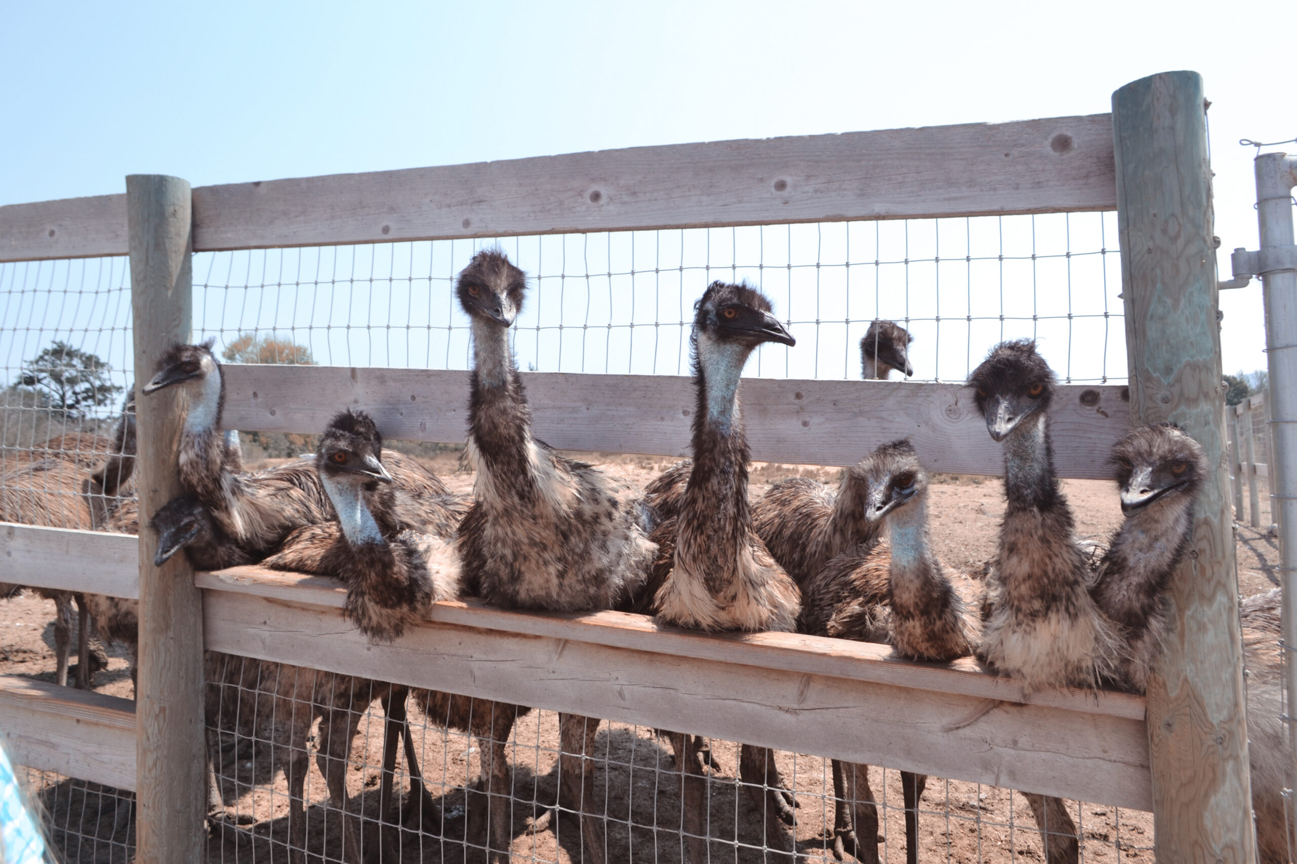 Tasmanian Women in Agriculture Tour 2025