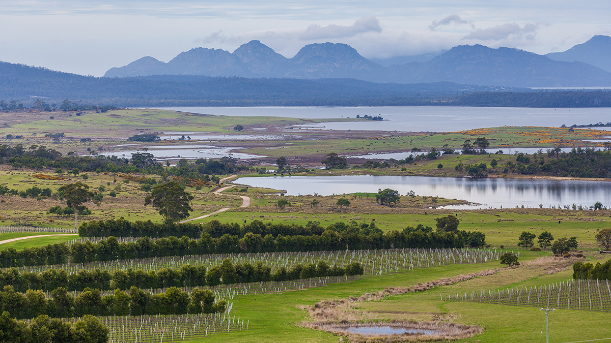 Devil's Corner winery and The Hazards mountain range . East coast, Apslawn, Tasmania, Australia