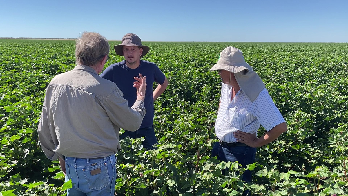 Quadrant Australia - Farming QLD Gulf-Silver Hills