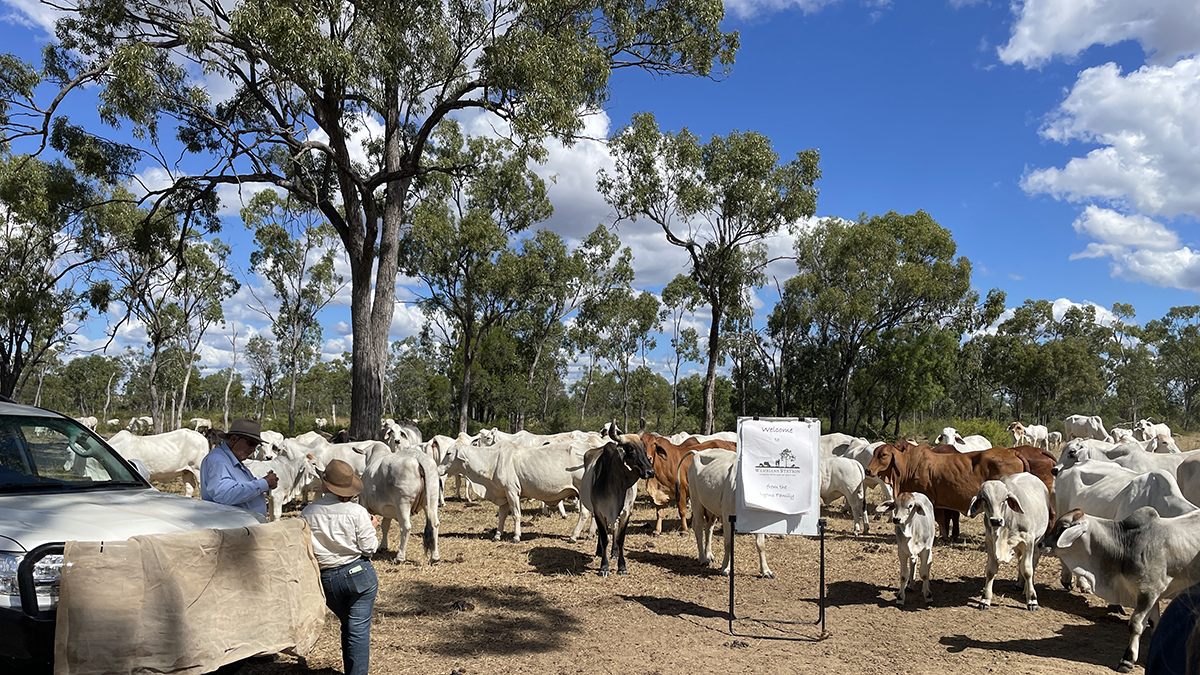 Quadrant Australia - Farming QLD Gulf-Wambiana