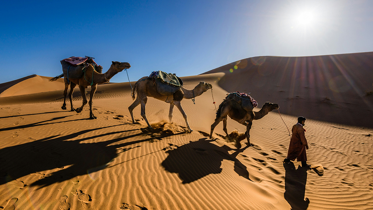 Quadrant Australia Morocco-Desert