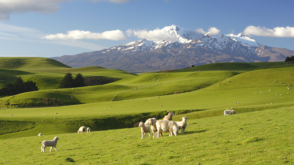 Mt Ruapehu Volcano, New Zealand