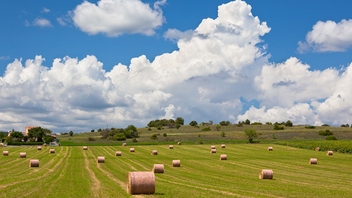 Rural landscape with Farmland and Straw bales in Provence, France