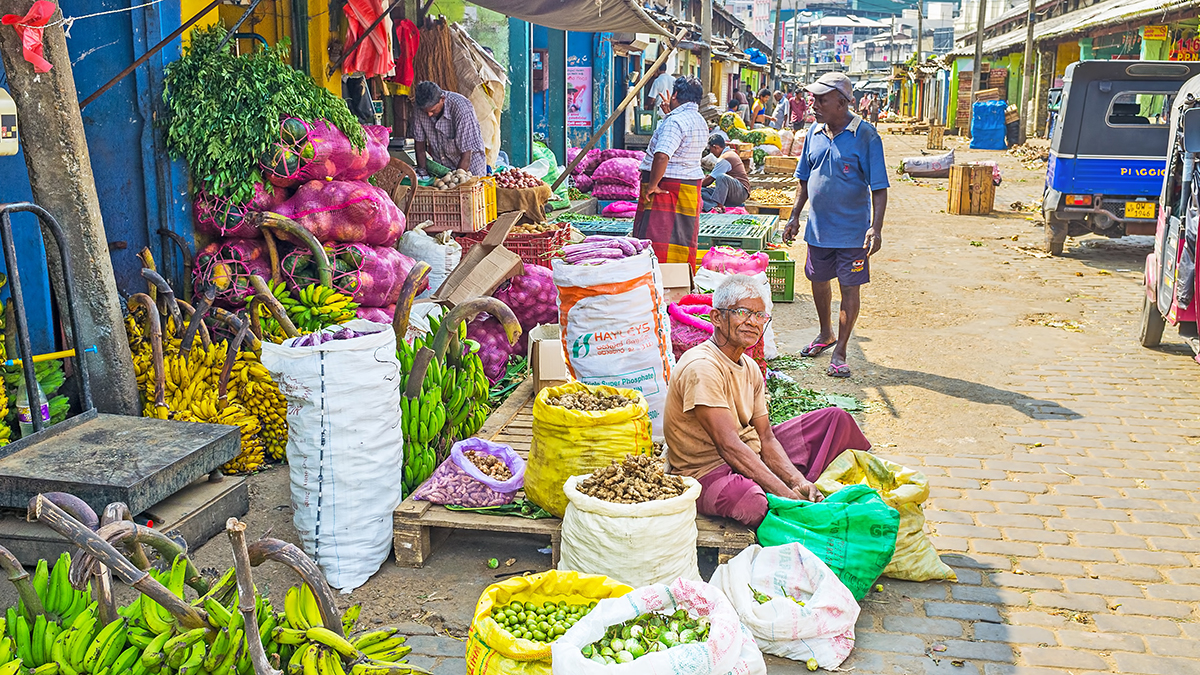 COLOMBO, SRI LANKA - DECEMBER 6, 2016: The aged seller sits at his stall, surrounded by bags with thalana batu (green eggplant), veralu (tropic fruit), ginger roots and green banana branches at the Manning Market, on December 6 in Colombo.