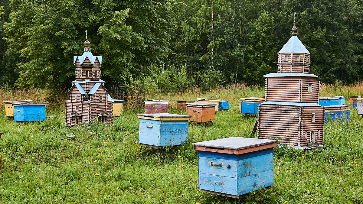 Perm, Russia - August 13, 2020: vintage hives in the form of temples among ordinary hives in a forest apiary