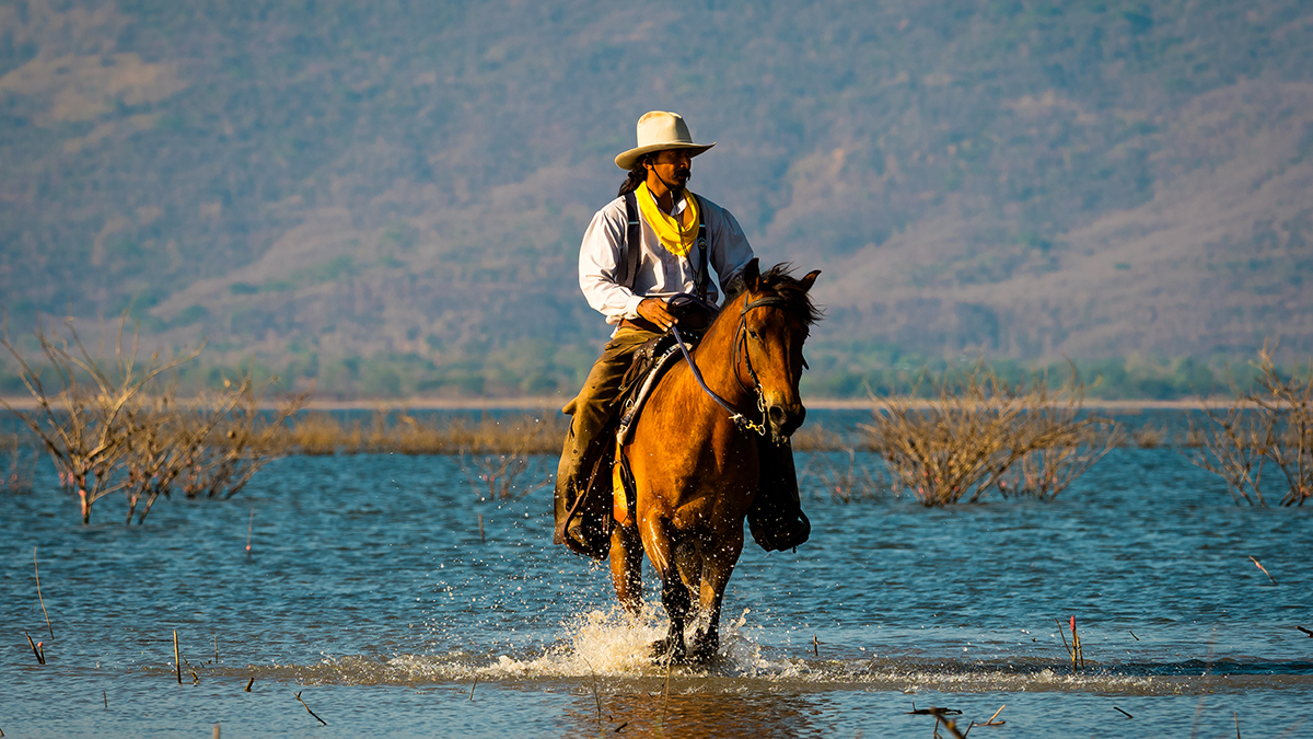 A western cowboy was riding a horse to wade through the lake area, with the background in the mountains